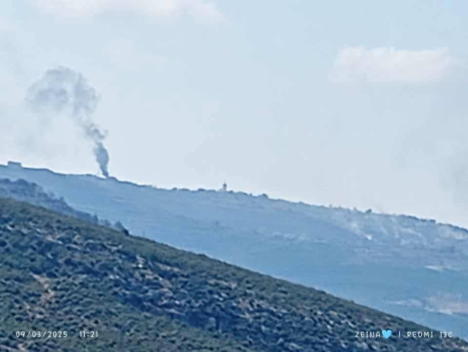 صورة توثيقية